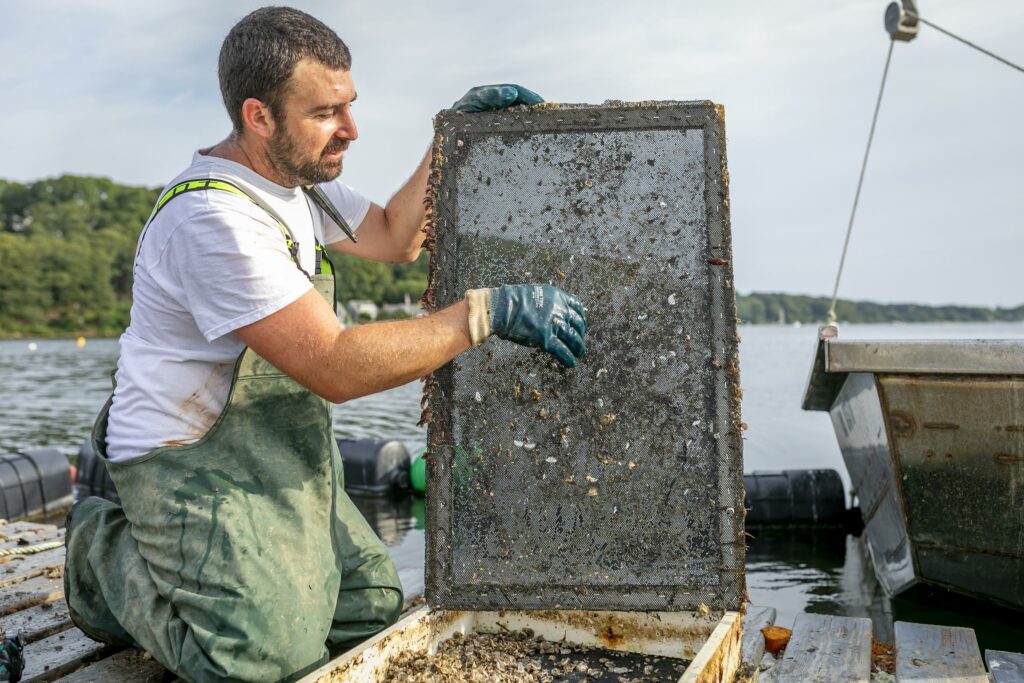 Noah Mayrand farming oysters.